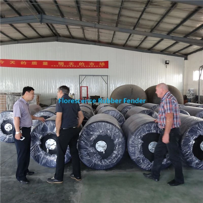 product-380-380 EVA (6)_